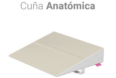 cuña anatómica cervical9